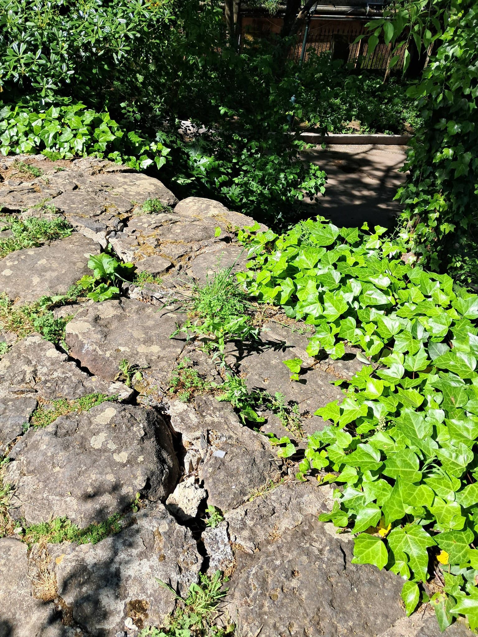 Jardim da Estrela: degradação prolongada, riscos atuais e necessidade de intervenção