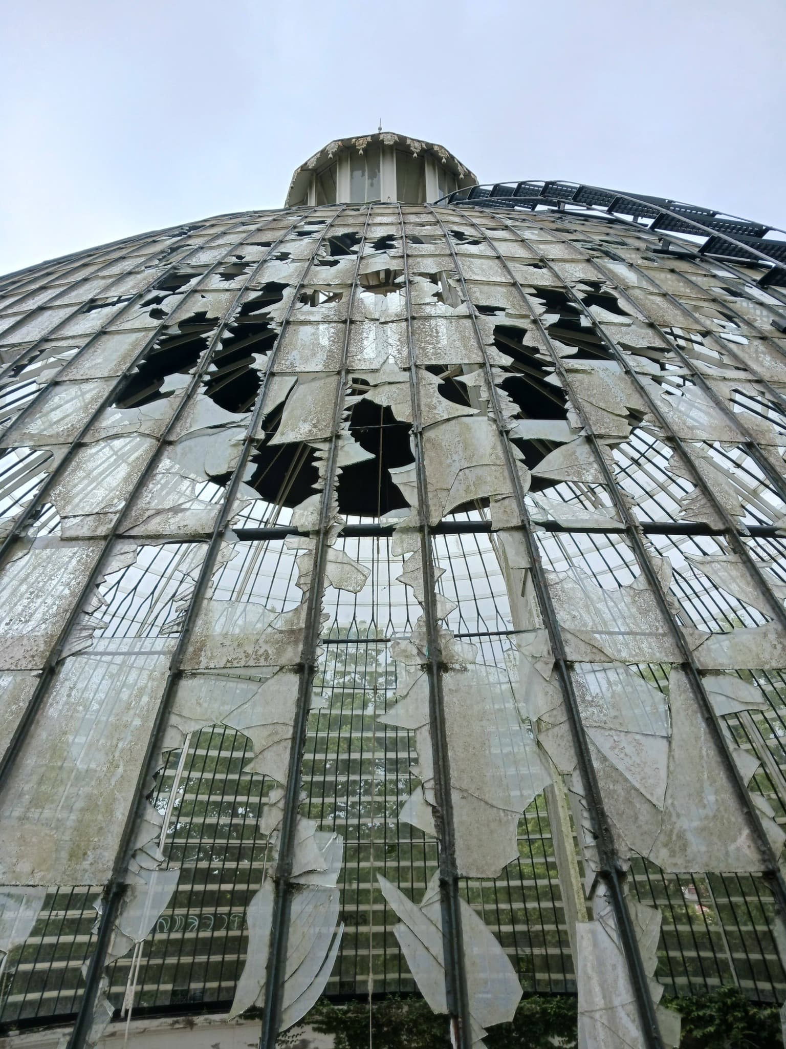 Pedido de informação — Tapada das Necessidades / Quinta Real das Necessidades: estado do processo de reabilitação e data prevista para início das obras